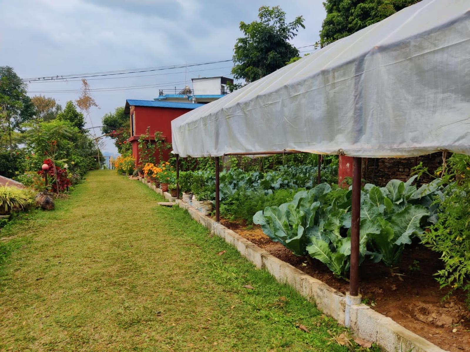 Himalaya Serene View Guest House & Farm Stay Deorali Экстерьер фото