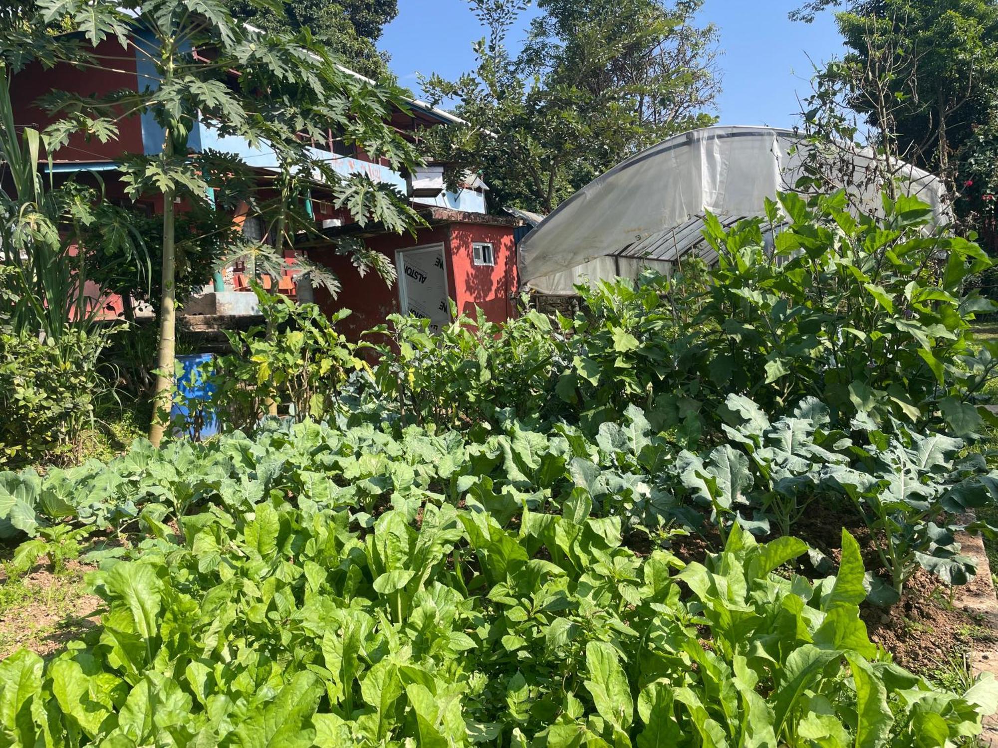 Himalaya Serene View Guest House & Farm Stay Deorali Экстерьер фото
