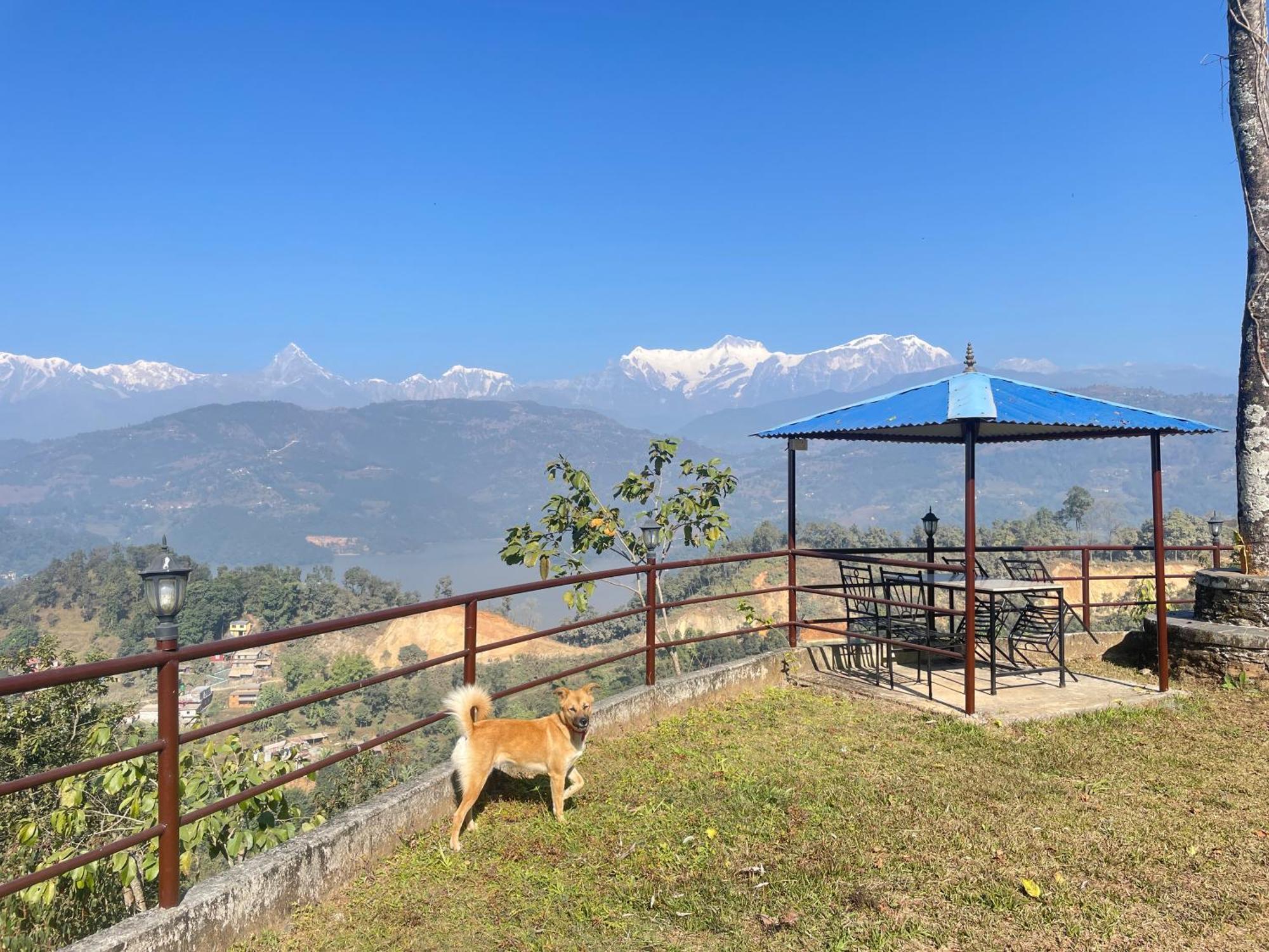 Himalaya Serene View Guest House & Farm Stay Deorali Экстерьер фото
