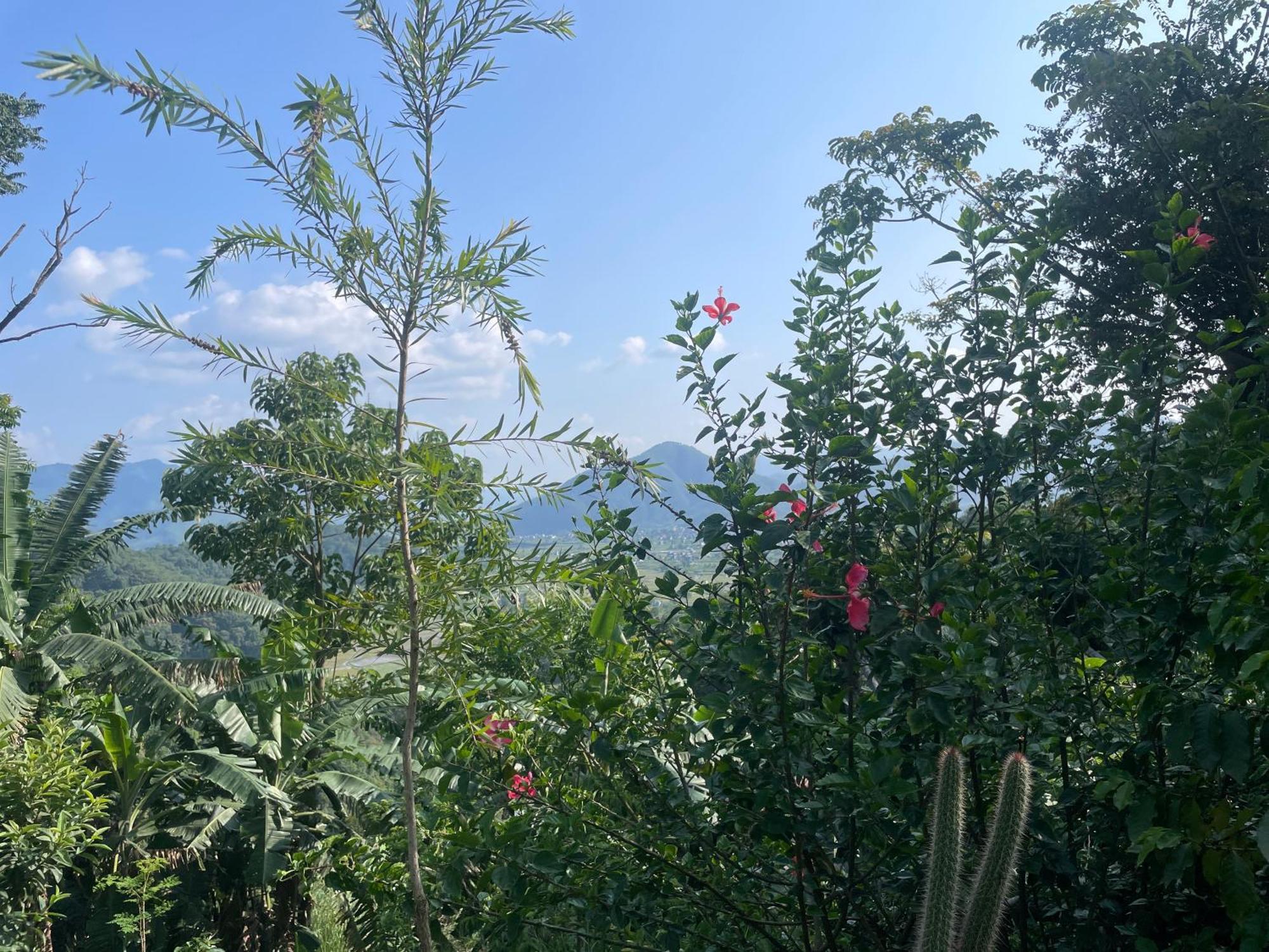 Himalaya Serene View Guest House & Farm Stay Deorali Экстерьер фото