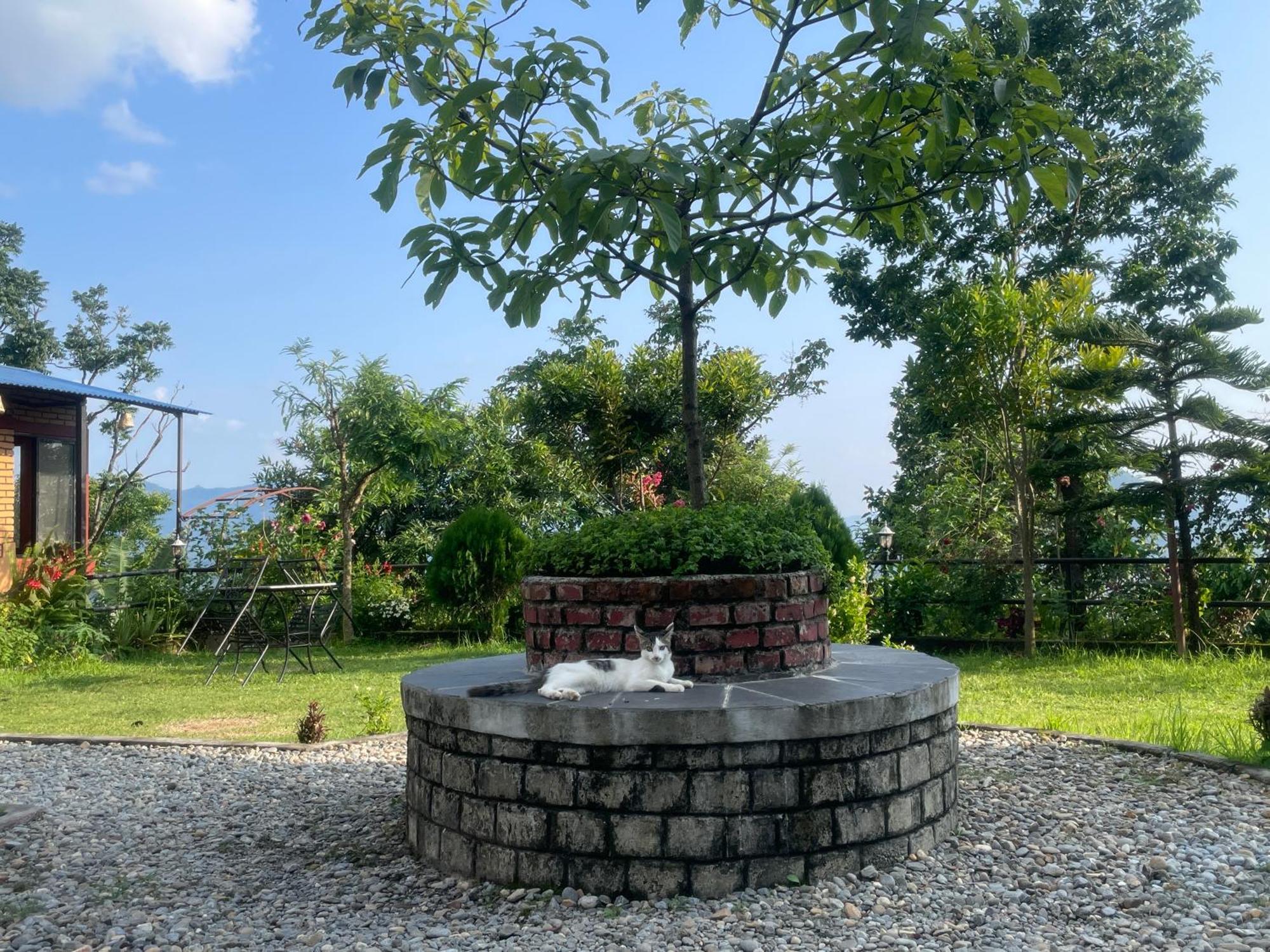 Himalaya Serene View Guest House & Farm Stay Deorali Экстерьер фото